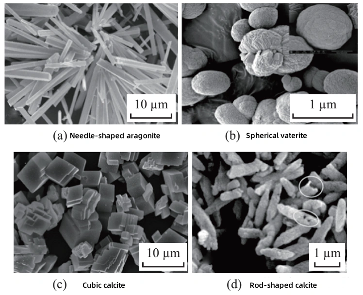 Different forms of calcium carbonate