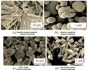 Aragonite Calcium Carbonate