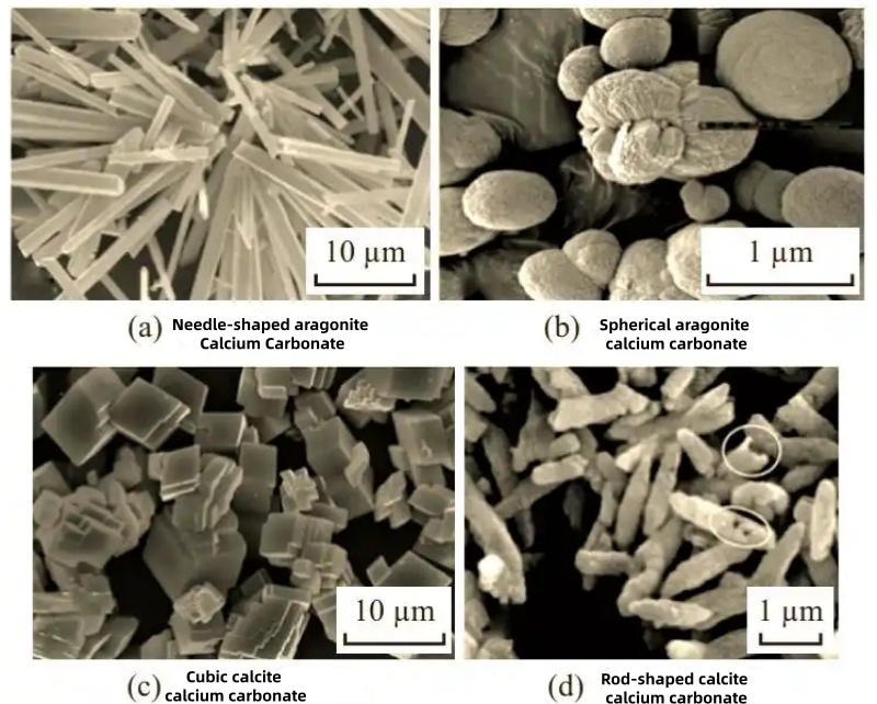 Aragonite Calcium Carbonate