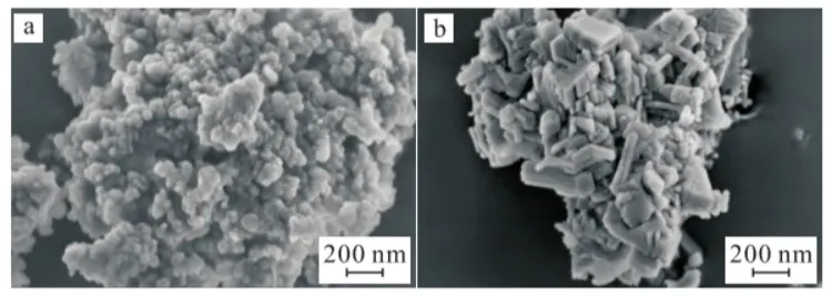 SEM images of porous CaCO3 before (a) and after (b) adsorption of Pb2+.